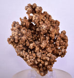 9.5cms ARAGONITE BOTRYOIDAL CRYSTALS Peru Mineral Specimen Collector E129