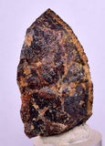 4.7cms GARNET ANDRADITE STEPPED Crystal Rare Peru Grossular Peru Gemstone Mineral Specimen G278