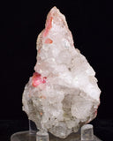 7.6cms GEM RHODOCHROSITE Quartz Crystals Uchucchacua Mineral Specimen R766