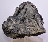 14cm MARCASITE Pyrite Chalcopyrite Sphalerite Galena Calcite Crystals Peru M268