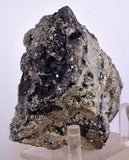 14cm MARCASITE Pyrite Chalcopyrite Sphalerite Galena Calcite Crystals Peru M268