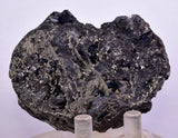6.9cms MARCASITE BLADES Pyrite Chalcopyrite Sphalerite Galena Crystals Peru M272