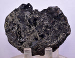 6.9cms MARCASITE BLADES Pyrite Chalcopyrite Sphalerite Galena Crystals Peru M272