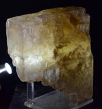 10cms SELENITE CRYSTAL MUD Peru Gypsum  Translucent Premium Mineral Specimen T475