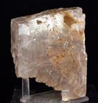 10cms SELENITE CRYSTAL MUD Peru Gypsum  Translucent Premium Mineral Specimen T475