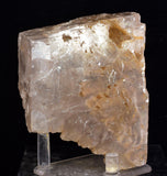 10cms SELENITE CRYSTAL MUD Peru Gypsum  Translucent Premium Mineral Specimen T475