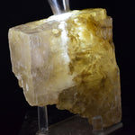 10cms SELENITE CRYSTAL MUD Peru Gypsum  Translucent Premium Mineral Specimen T475