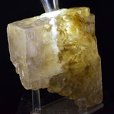10cms SELENITE CRYSTAL MUD Peru Gypsum  Translucent Premium Mineral Specimen T475