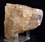 10cms SELENITE CRYSTAL MUD Peru Gypsum  Translucent Premium Mineral Specimen T475
