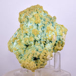 7.1cms CHALCANTHITE ALUNOGEN Natural Botryoidal Crystals Peru Translucent Rare For Display F466