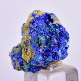 1.9cms GEM BROCHANTITE MICRO Crystals Linarite Inca De Oro Chile Miniature Mineral Specimen Z31