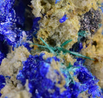 1.9cms GEM BROCHANTITE MICRO Crystals Linarite Inca De Oro Chile Miniature Mineral Specimen Z31