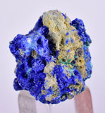 1.9cms GEM BROCHANTITE MICRO Crystals Linarite Inca De Oro Chile Miniature Mineral Specimen Z31