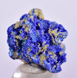 1.9cms GEM BROCHANTITE MICRO Crystals Linarite Inca De Oro Chile Miniature Mineral Specimen Z31