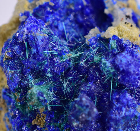 1.9cms GEM BROCHANTITE MICRO Crystals Linarite Inca De Oro Chile Miniature Mineral Specimen Z31