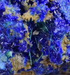 1.9cms GEM BROCHANTITE MICRO Crystals Linarite Inca De Oro Chile Miniature Mineral Specimen Z31