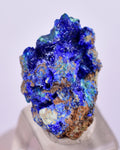 1.7cms GEM BROCHANTITE MICRO Crystals Linarite Inca De Oro Chile Miniature Mineral Specimen Z32