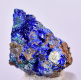 1.7cms GEM BROCHANTITE MICRO Crystals Linarite Inca De Oro Chile Miniature Mineral Specimen Z32