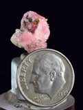 1.6cms RHODOCHROSITE PYRITE Crystal Rhombohedral Wuzhou Guangxi China Mineral Specimen R774