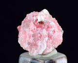 1.8cms RHODOCHROSITE FLUORITE PYRITE Crystal Rhombohedral Wuzhou Guangxi China Mineral Specimen R775