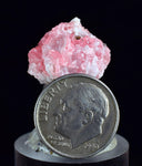 1.8cms RHODOCHROSITE FLUORITE PYRITE Crystal Rhombohedral Wuzhou Guangxi China Mineral Specimen R775