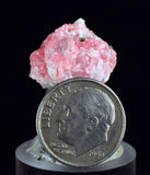 1.8cms RHODOCHROSITE FLUORITE PYRITE Crystal Rhombohedral Wuzhou Guangxi China Mineral Specimen R775