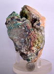 10.4cms GEM SILICA CHRYSOCOLLA Druzy Quartz Lily Mine Peru Mineral Specimen D286