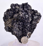 10m MARCASITE  Pyrite Chalcopyrite Sphalerite Crystals Peru M277