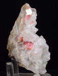 7.6cms GEM RHODOCHROSITE Quartz Crystals Uchucchacua Mineral Specimen R766