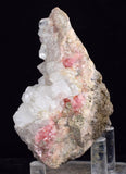 7.6cms GEM RHODOCHROSITE Quartz Crystals Uchucchacua Mineral Specimen R766