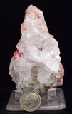 7.6cms GEM RHODOCHROSITE Quartz Crystals Uchucchacua Mineral Specimen R766