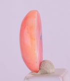 8.5cts PINK OPAL CABOCHON Landscape Jewelry Pendant Coral Color B124
