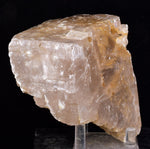 10cms SELENITE CRYSTAL MUD Peru Gypsum  Translucent Premium Mineral Specimen T475