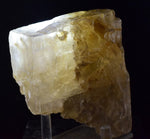 10cms SELENITE CRYSTAL MUD Peru Gypsum  Translucent Premium Mineral Specimen T475