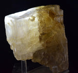 10cms SELENITE CRYSTAL MUD Peru Gypsum  Translucent Premium Mineral Specimen T475