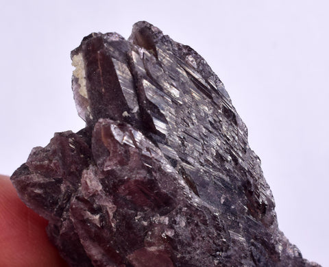 6.6cms GEM AXINITE CRYSTALS  Super Shiny Peru Mineral Specimen Collector Old Stock Molletambo Ica Peru  A629
