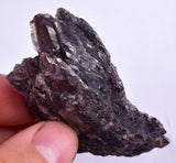 6.6cms GEM AXINITE CRYSTALS  Super Shiny Peru Mineral Specimen Collector Old Stock Molletambo Ica Peru  A629
