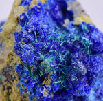 1.9cms GEM BROCHANTITE MICRO Crystals Linarite Inca De Oro Chile Miniature Mineral Specimen Z31