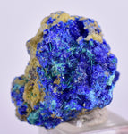 1.9cms GEM BROCHANTITE MICRO Crystals Linarite Inca De Oro Chile Miniature Mineral Specimen Z31