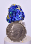 1.9cms GEM BROCHANTITE MICRO Crystals Linarite Inca De Oro Chile Miniature Mineral Specimen Z31