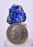 1.9cms GEM BROCHANTITE MICRO Crystals Linarite Inca De Oro Chile Miniature Mineral Specimen Z31
