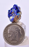 1.7cms GEM BROCHANTITE MICRO Crystals Linarite Inca De Oro Chile Miniature Mineral Specimen Z32