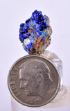 1.7cms GEM BROCHANTITE MICRO Crystals Linarite Inca De Oro Chile Miniature Mineral Specimen Z32
