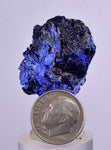3.1cms GEM AZURITE CRYSTALS Morocco Royal Blue Color Shsrp Shiny Mineral Specimen U601
