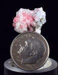 1.5cms RHODOCHROSITE FLUORITE PYRITE Crystal Rhombohedral Wuzhou Guangxi China Mineral Specimen R768