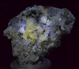 4.4 cms APATITE CALCITE QUARTZ Pyrite Dickite Peru Huanzala A634