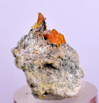 3.9cms RARE WULFENITE Mini Crystals Alamo Arizona usa Y91