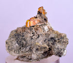3.9cms RARE WULFENITE Mini Crystals Alamo Arizona usa Y91