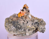 3.9cms RARE WULFENITE Mini Crystals Alamo Arizona usa Y91