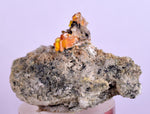 3.9cms RARE WULFENITE Mini Crystals Alamo Arizona usa Y91